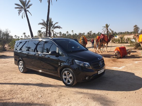 Best Casablanca Transfers for Your Travels